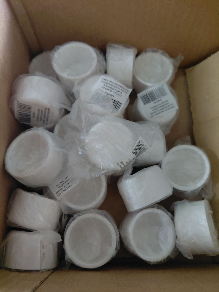 1" PVC Cap