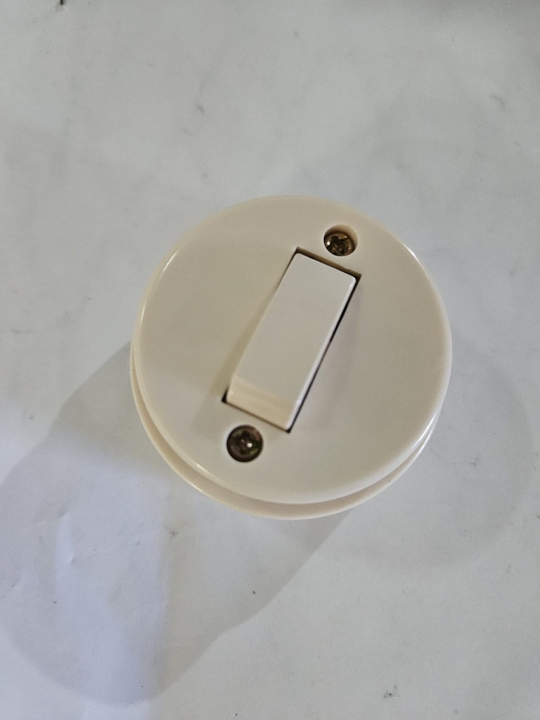 SP Surfaced Switch Iv MG115